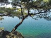 DSC00163